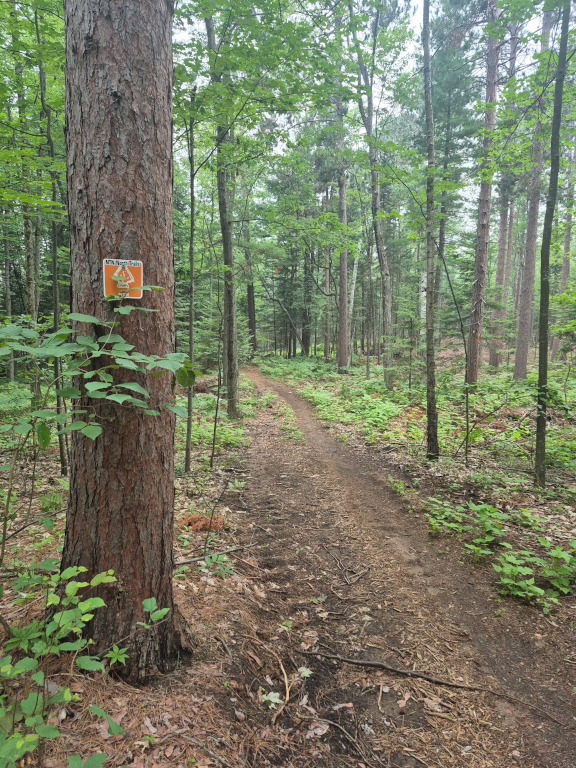 An image of the hiking trail found at the Hiawatha Music Festival.