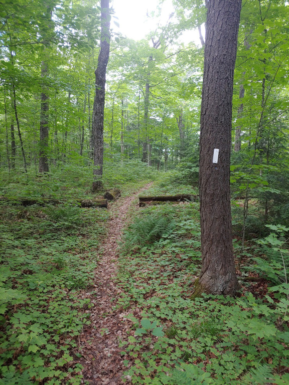 An image of Deer Marsh Trail
