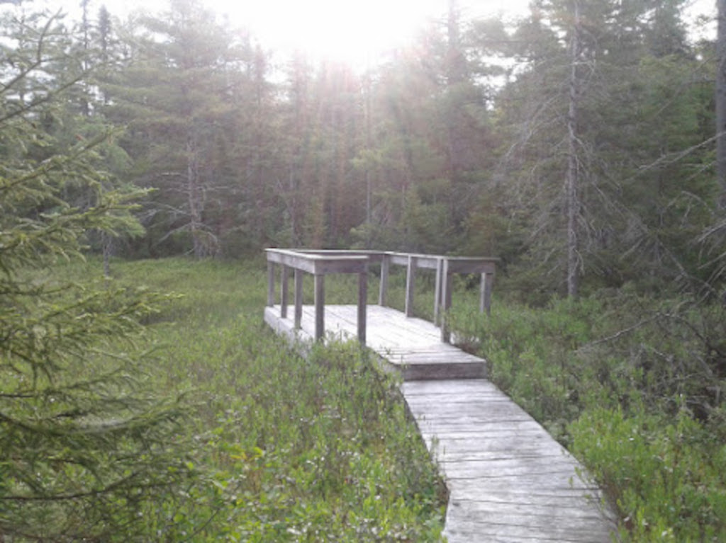 An image of Lake Perrault Fen Trail Balcony